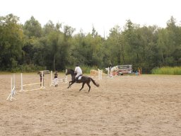 img_9622_web